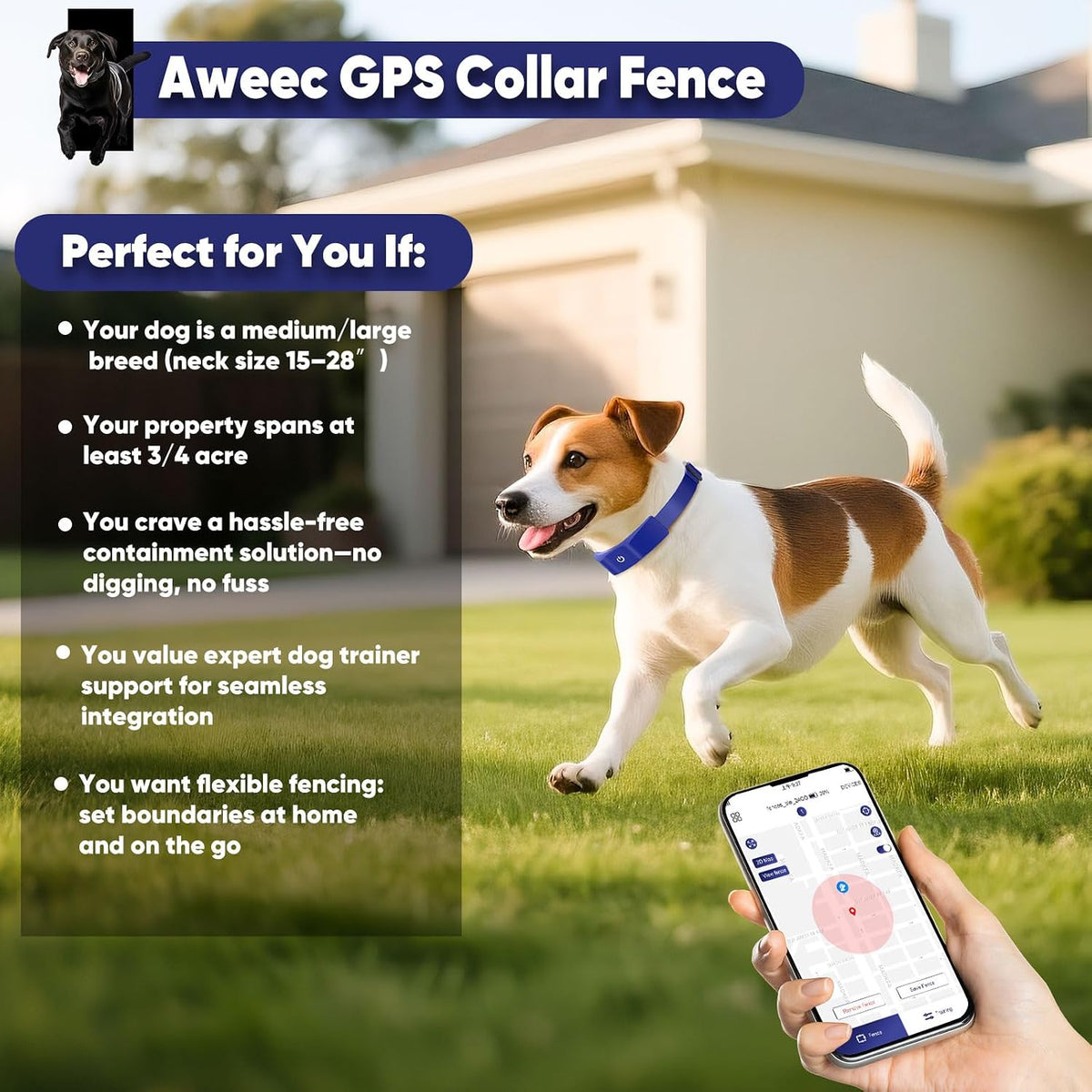 GeoPaws premium imported dog safety collar kit box contents.