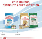 Authentic Royal Canin health nutrition small breed wet puppy food