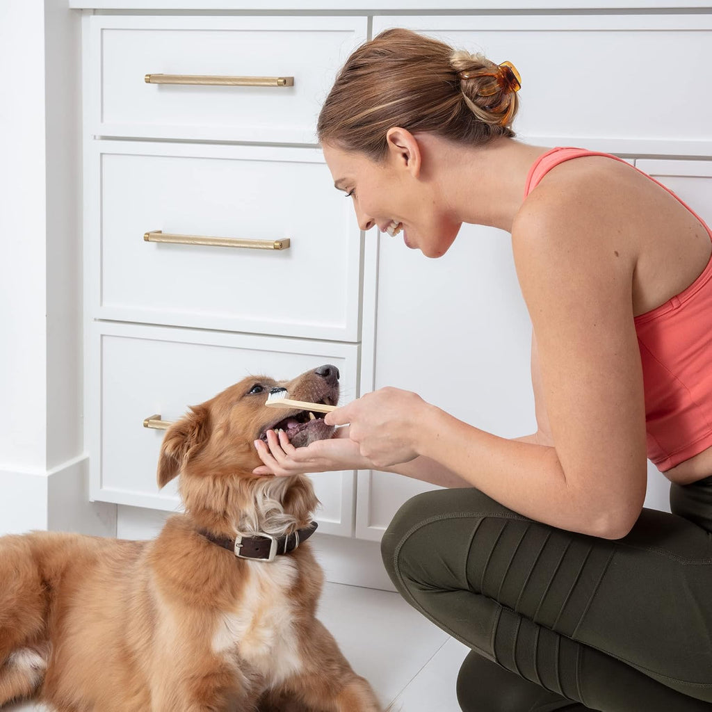 Small and large brush head comparison for cats and dogs