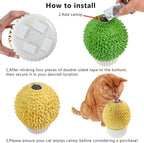 Cat interacting with durian shaped catnip feeder wall mount