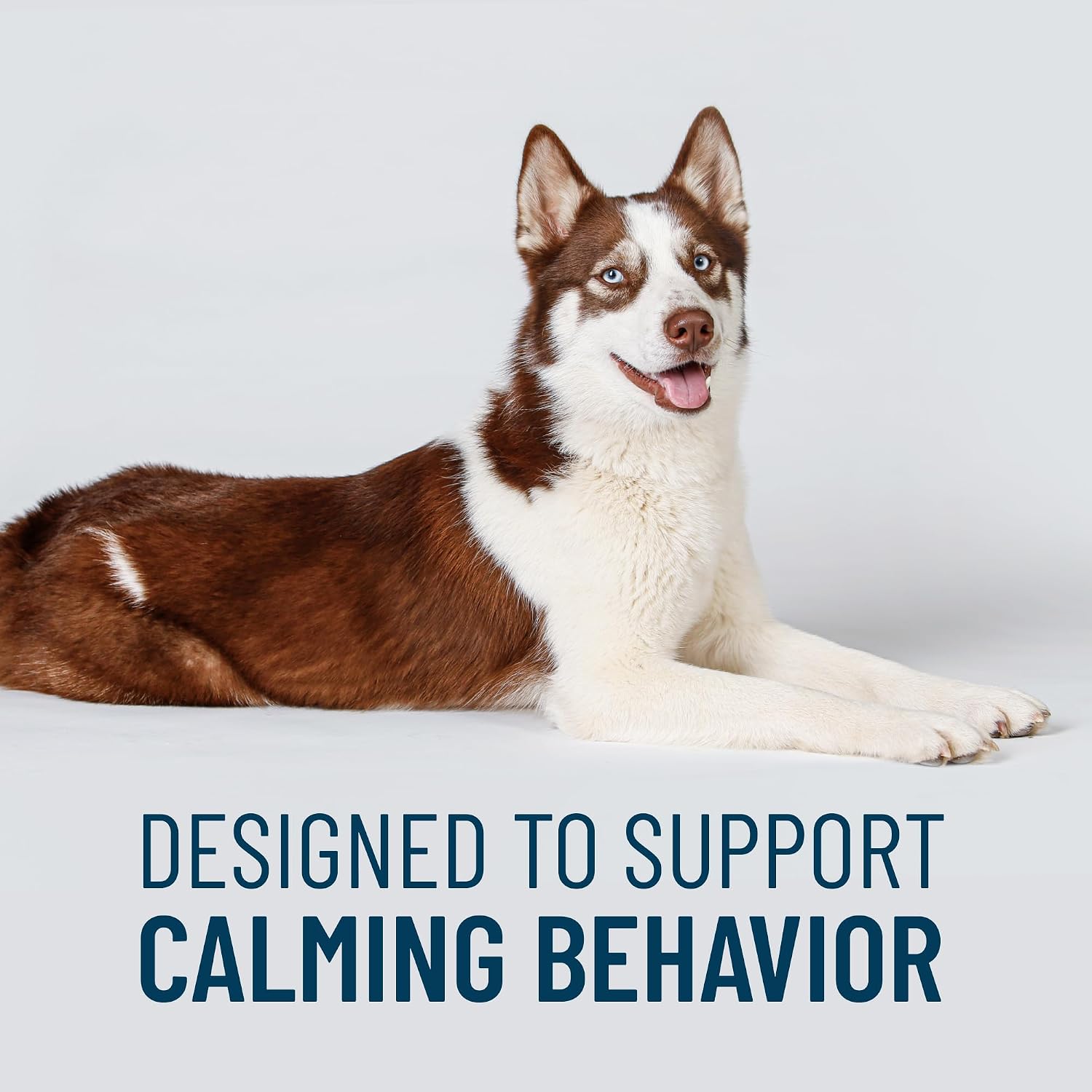 Nutramax Laboratories behavioral health supplement for large dogs side panel overview.