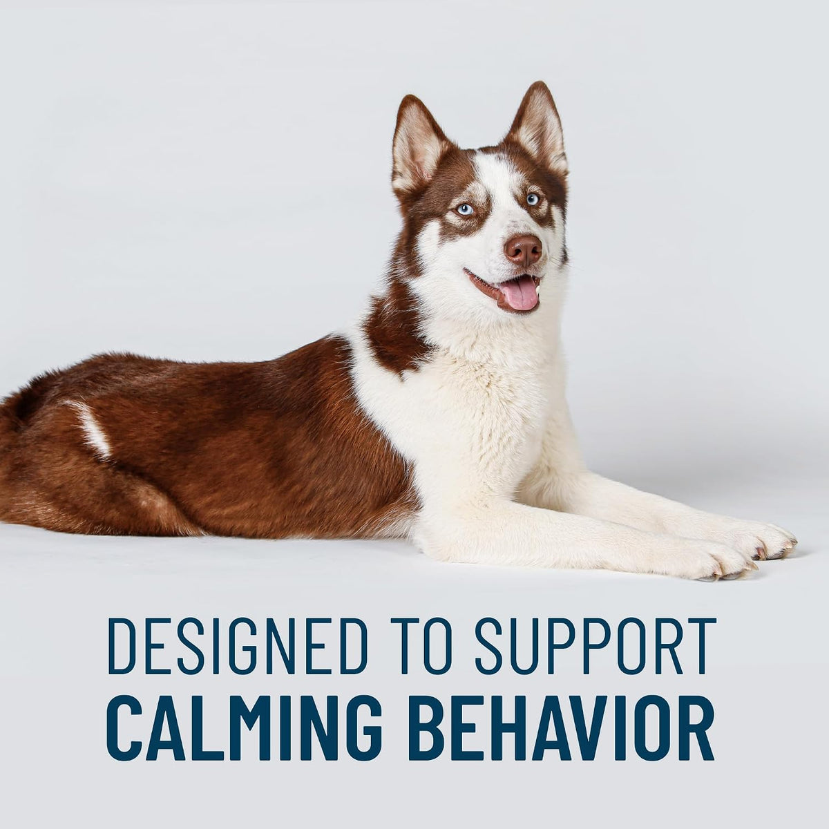 Nutramax Laboratories behavioral health supplement for large dogs side panel overview.