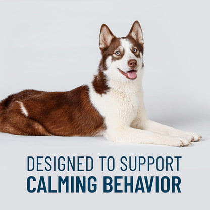 Nutramax Laboratories behavioral health supplement for large dogs side panel overview.