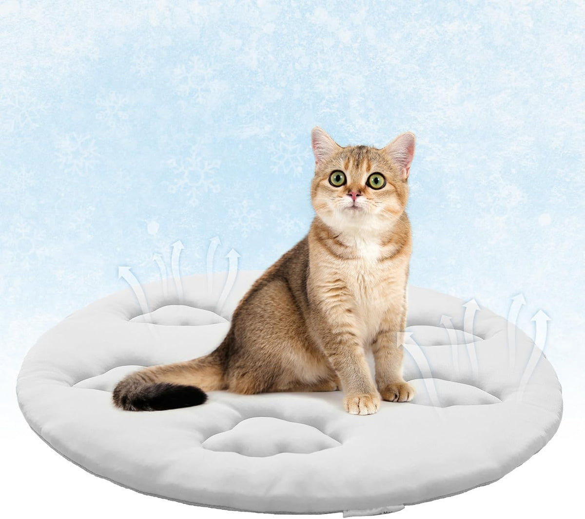KOOLTAIL Cat Cooling Mat, Upgraded Two Sided Cooling Pad for Dogs Cats Puppy, Soft Summer Pet Sleeping Blanket Kennel to Keeping Cool, Washable Dog Mats for Crate Sofa Bed Outdoor Indoor, Leaf Shaped - Image 13