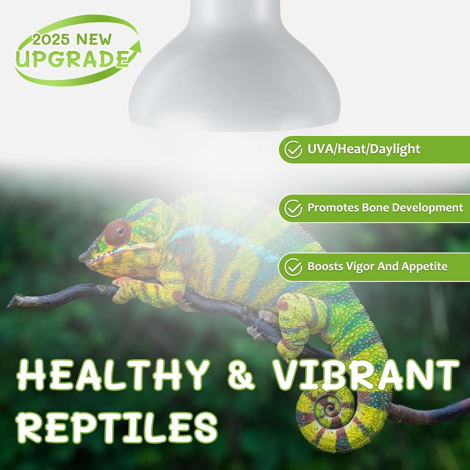 REPTI HOME one hundred watt heating light establishing a natural temperature gradient for a pet turtle.