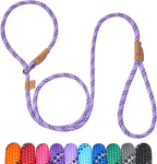 Petarea 5 Foot Slip Lead Dog Leash front view showing the lavender stripe pattern and metal ring.