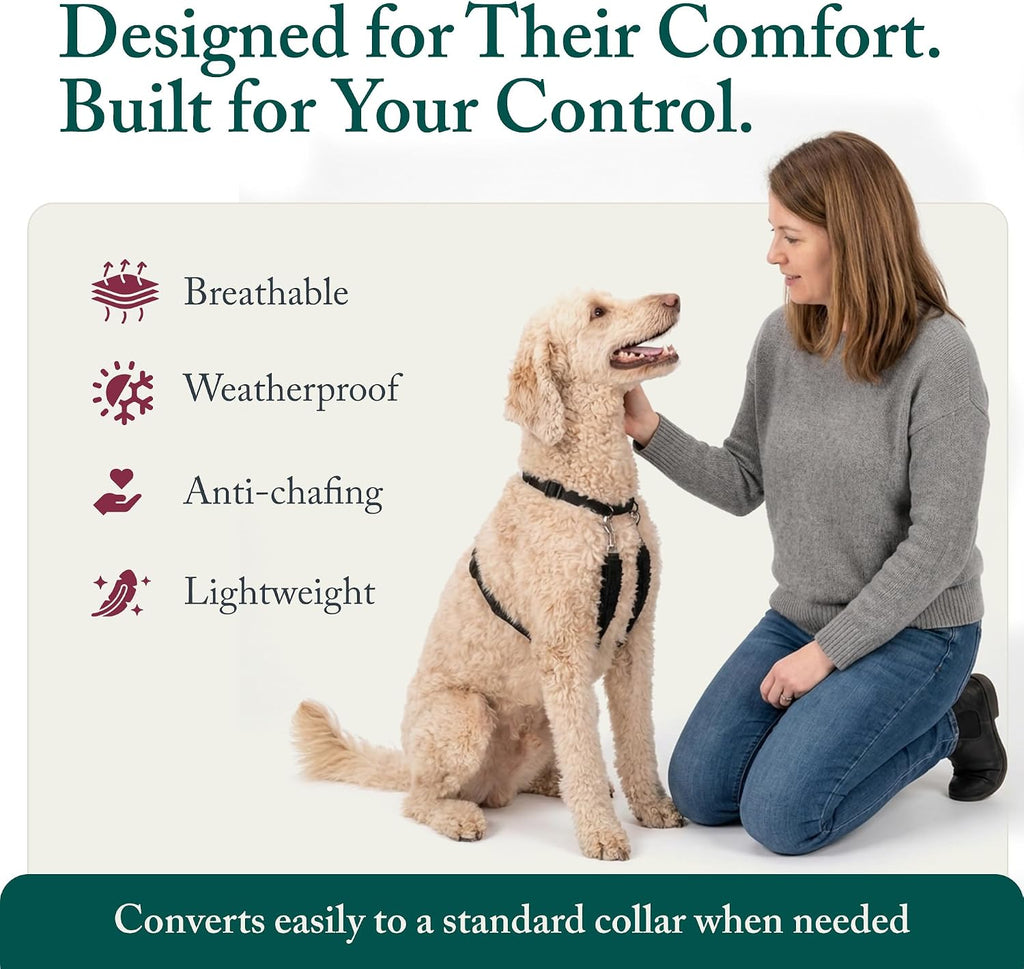 Lifestyle image of a large dog wearing the humane no choke sporn training halter outdoors.