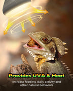 Two pack of REPTI HOME one hundred watt terrarium heating bulbs for bearded dragons and turtles.
