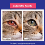 Gentle carbomer gel eye grooming ointment for puppies and kittens