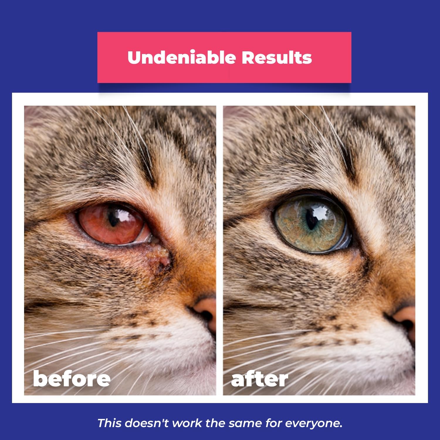 Gentle carbomer gel eye grooming ointment for puppies and kittens