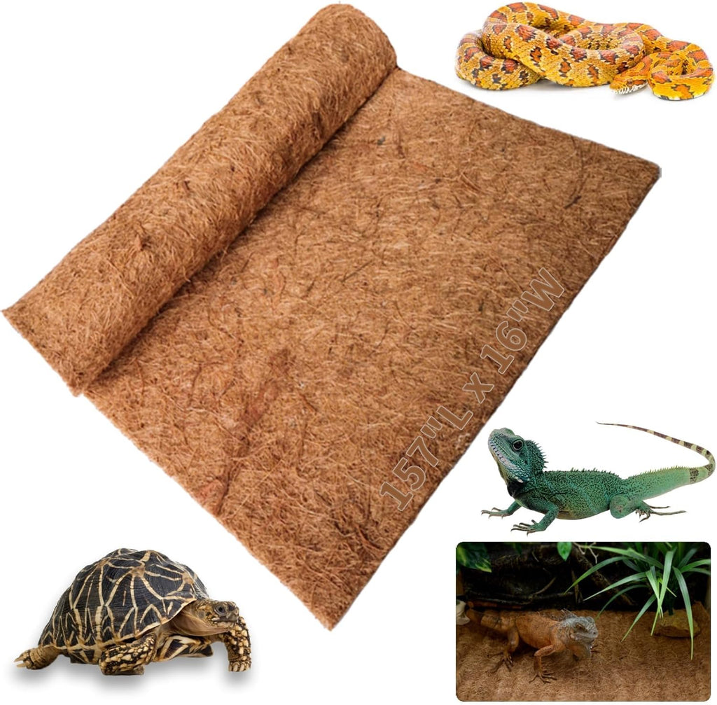 Hamiledyi reptile supplies four pieces pack overview.