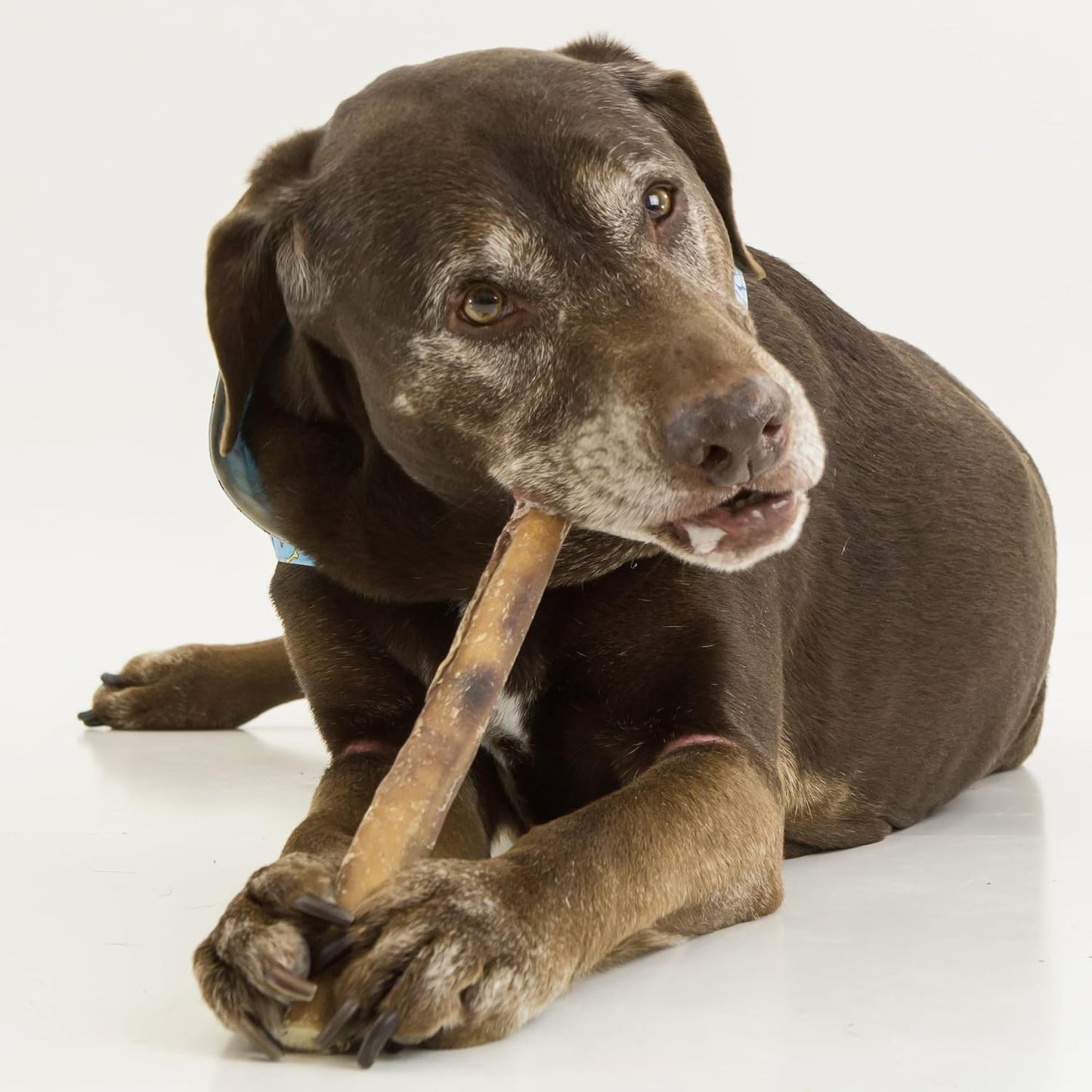 Close up of twelve inch natural smoky aroma dog treats