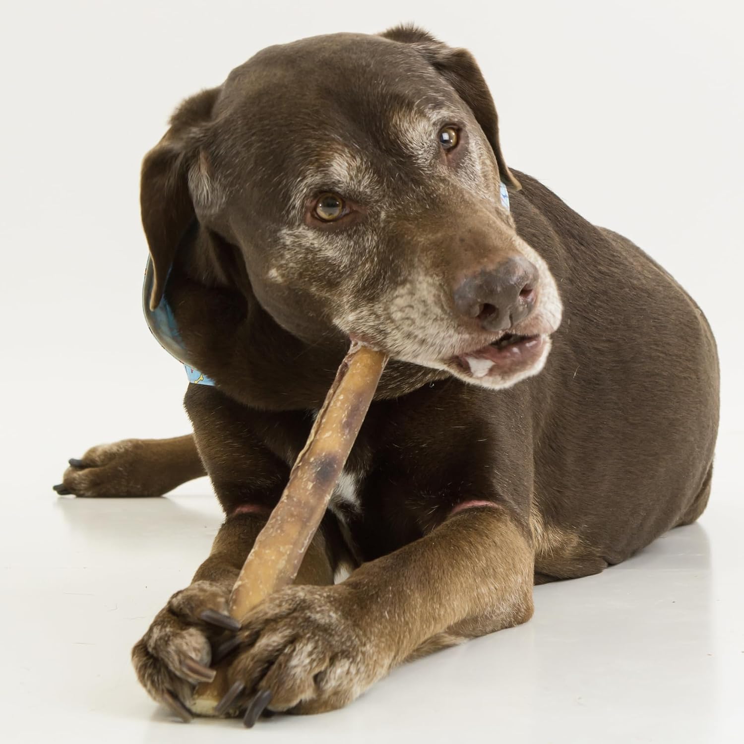 Close up of twelve inch natural smoky aroma dog treats