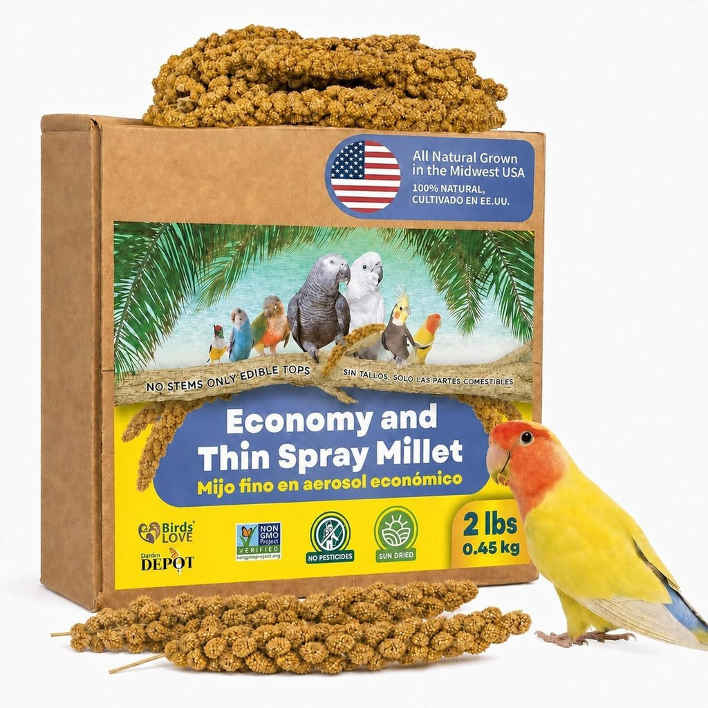 1lb Economy & Special Spray Millet for Birds - GMO-Free, No Stems (Only Edible Tops) - 100% Natural Sun-Dried Foraging Treat for Cockatiels, Lovebirds, Parakeets, Finches & Canaries - Image 10
