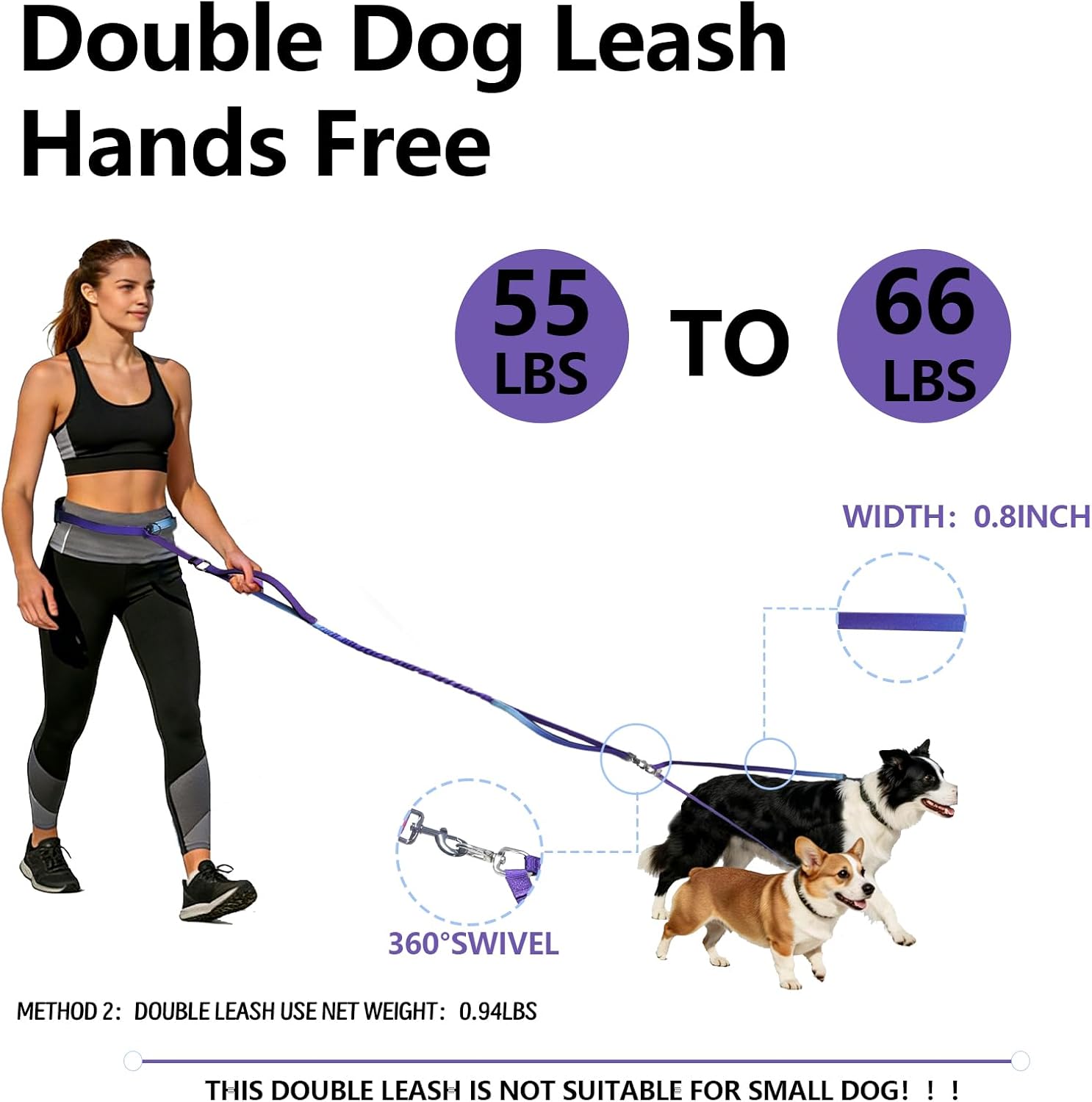 Premium nylon double pet lead for large dogs highlighting the reflective safety stitching details