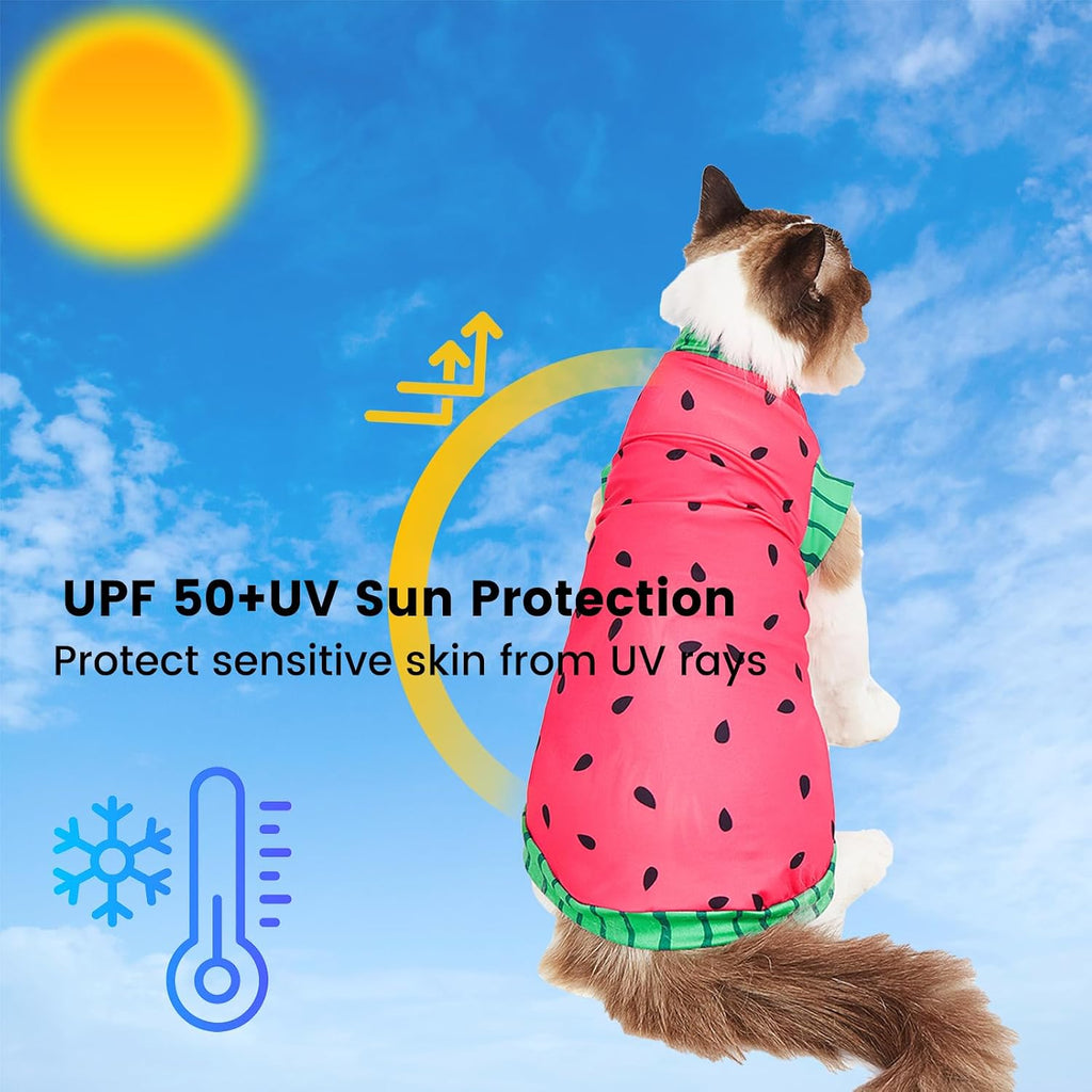 Matching pink sun hat for cats by Snixfever