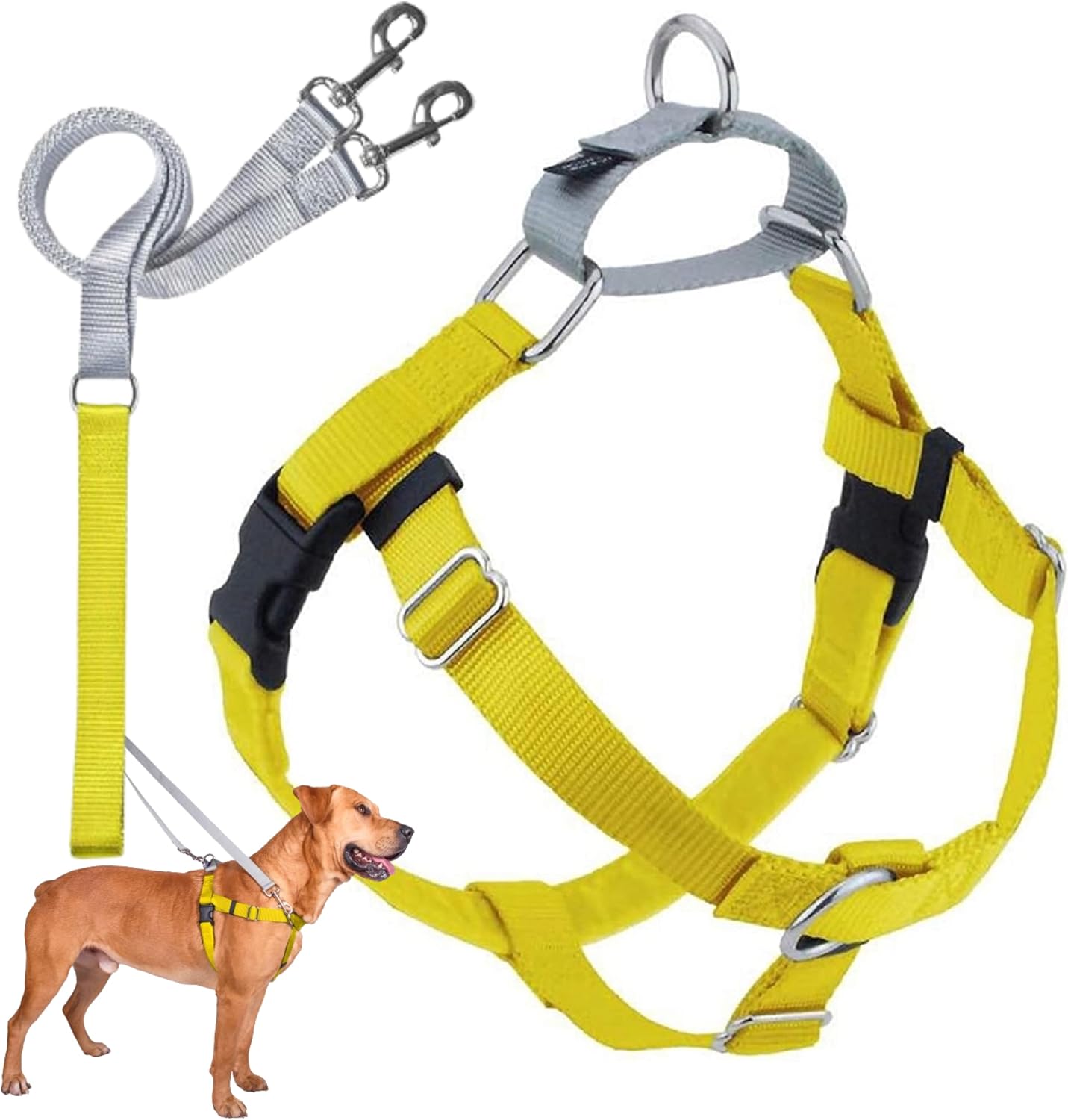 2 Hounds Design Freedom No Pull Dog Harness, Adjustable Harness and Leash Set, Easy Walking & Comfortable Control, Fits Small, Medium & Large Dogs, Solid Colors, Made in USA, 1" LG, Black - Image 12