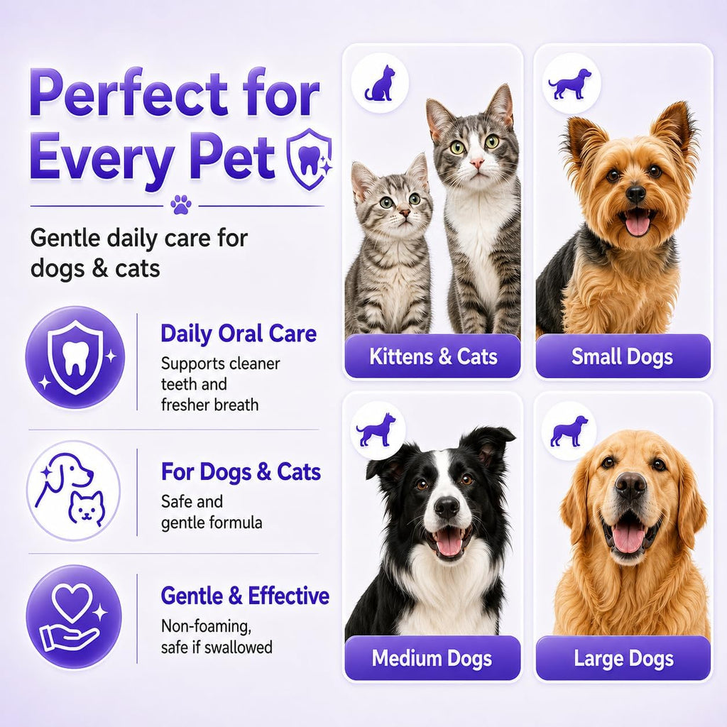 Fluoride free and xylitol free pet toothpaste tube back label details