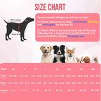 SlowTon pet surgical bodysuit showing the back zipper and magic patch closure details.