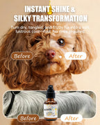 Dog and cat leave-in fur conditioner with collagen bottle close up.