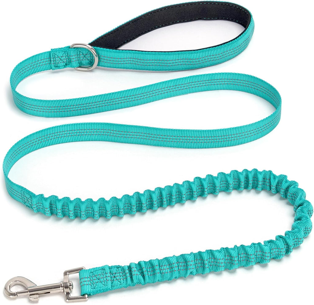 Bungee Dog Leash- 5FT Shock Absorbing & Reflective Nylon Leash| Anti-Pull Training for Small/Medium Dogs | 2cm Wide, 6 Colors (Black) - Image 10