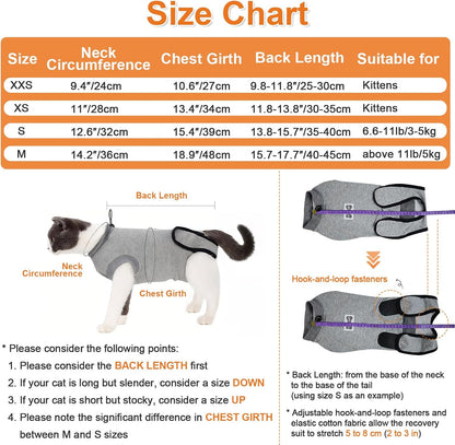 Elastic adjustable buckle detail on DogLemi cat post-surgery garment