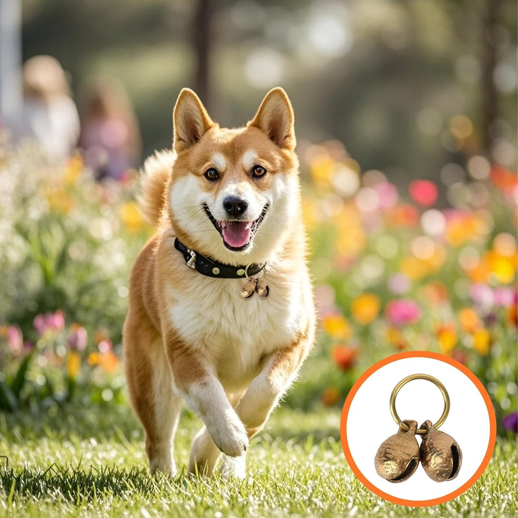 Pack view of the Penitue loud tracking bells showing the complete security accessory set for pet owners.