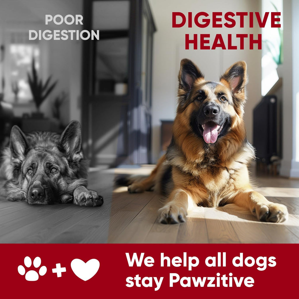 Pawzitive Pets pet wellness probiotic supplement jar with dog size dosage chart