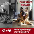 Pawzitive Pets pet wellness probiotic supplement jar with dog size dosage chart