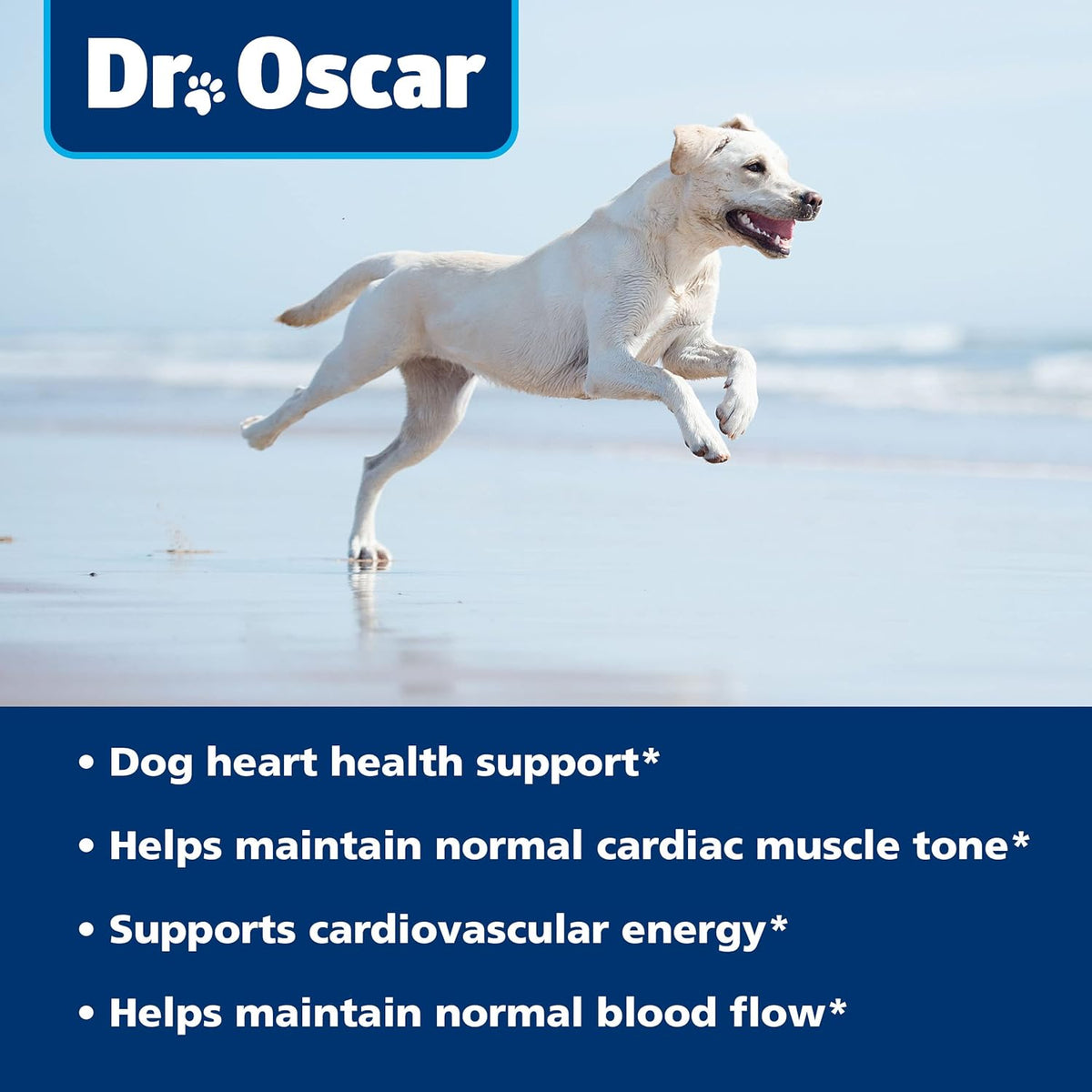 Dr Oscar pet cardiac support supplement bottle back view showcasing certified safety standards and USA import details