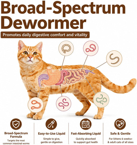 Broad spectrum worm treatment liquid bottle for cats and kittens.