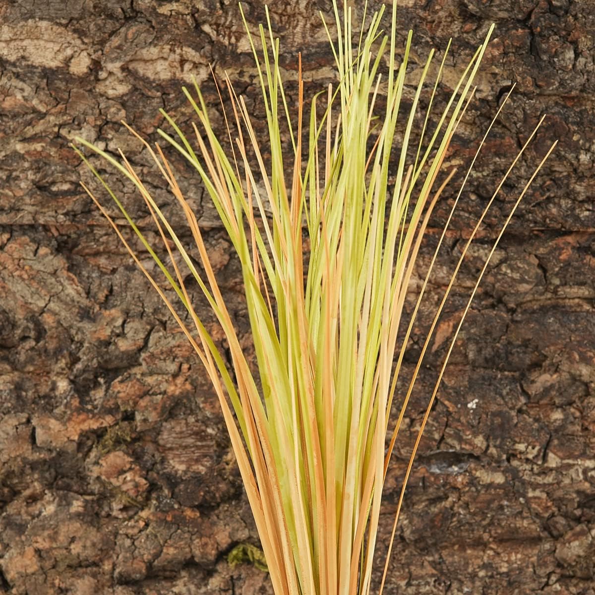 Artificial desert grass plant inside a bearded dragon tank