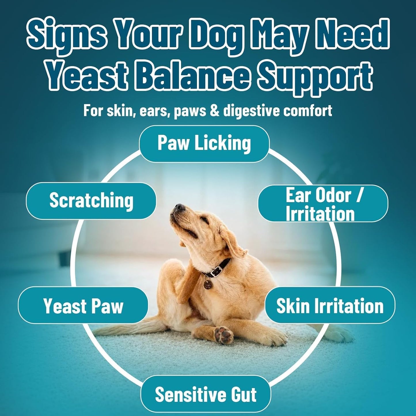 VICSOM natural dog allergy relief treats close up view of chicken flavor soft chews