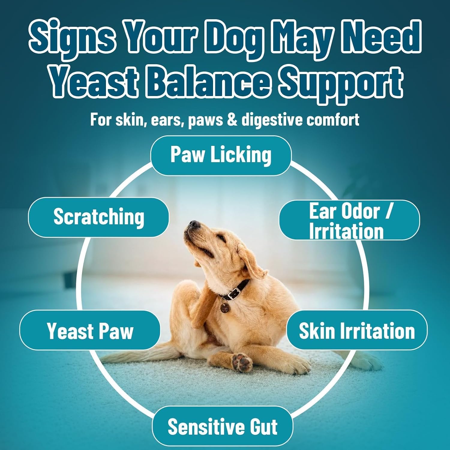 VICSOM natural dog allergy relief treats close up view of chicken flavor soft chews
