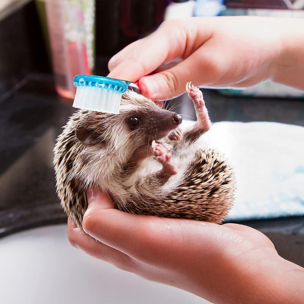 Mudder hedgehog grooming set showing the soft nylon bristles of the blue pet bath brush