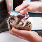 Mudder hedgehog grooming set showing the soft nylon bristles of the blue pet bath brush