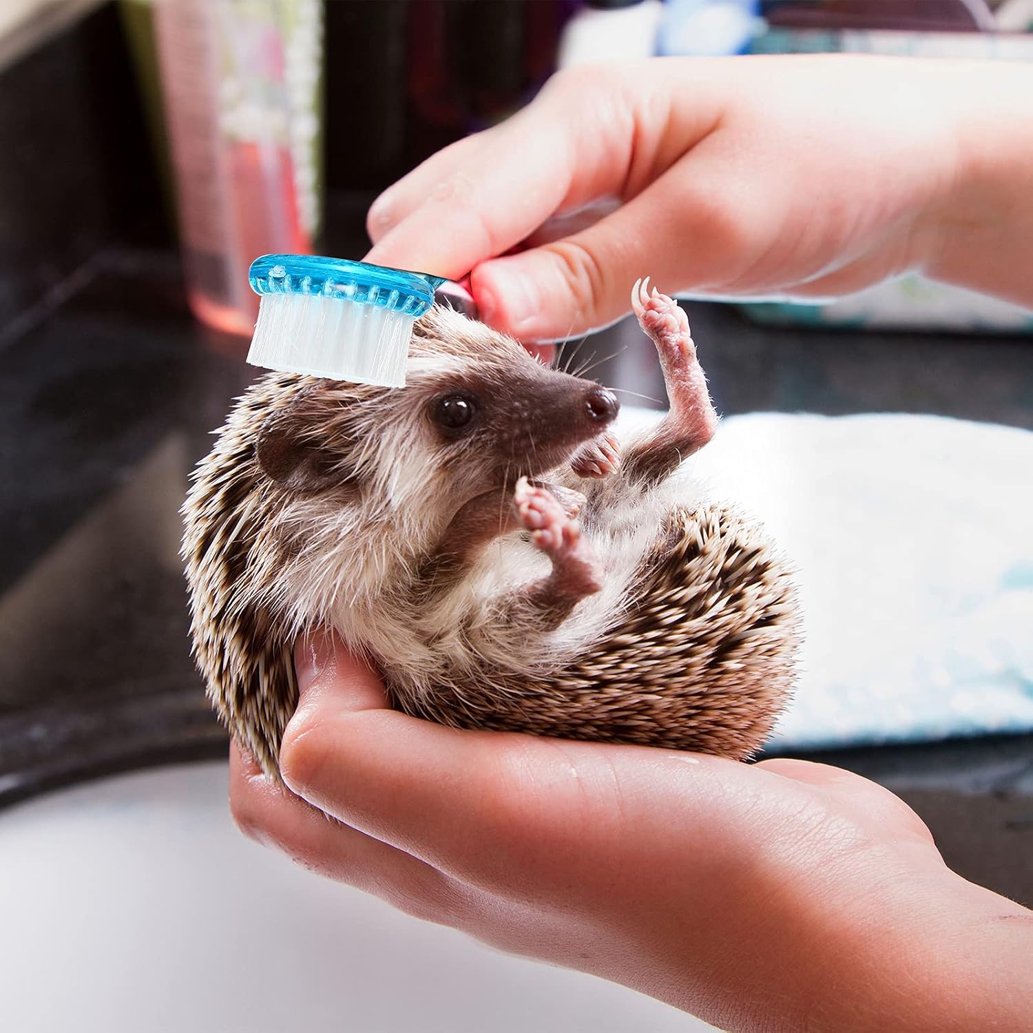 Mudder hedgehog grooming set showing the soft nylon bristles of the blue pet bath brush