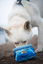 Anti tip wide base design of the collapsible fabric dog bowl