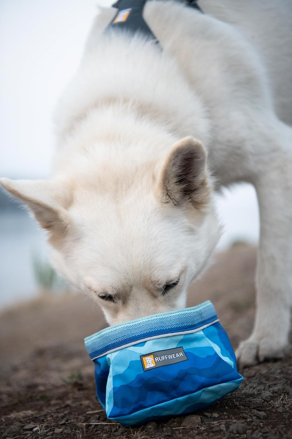 Anti tip wide base design of the collapsible fabric dog bowl