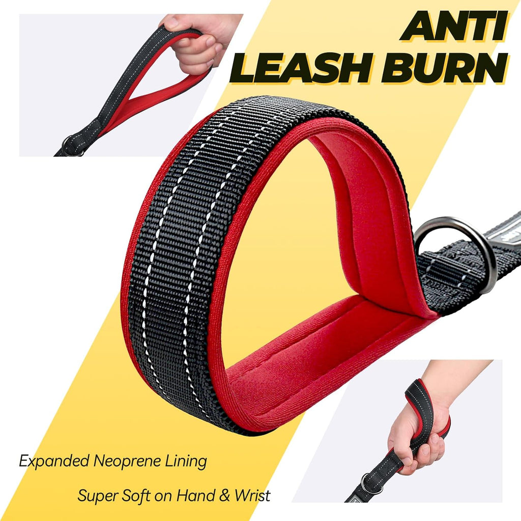 Vivaglory reflective dog training lead illuminated in low light to showcase the highly visible safety threading.