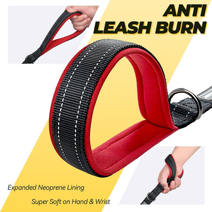 Vivaglory reflective dog training lead illuminated in low light to showcase the highly visible safety threading.