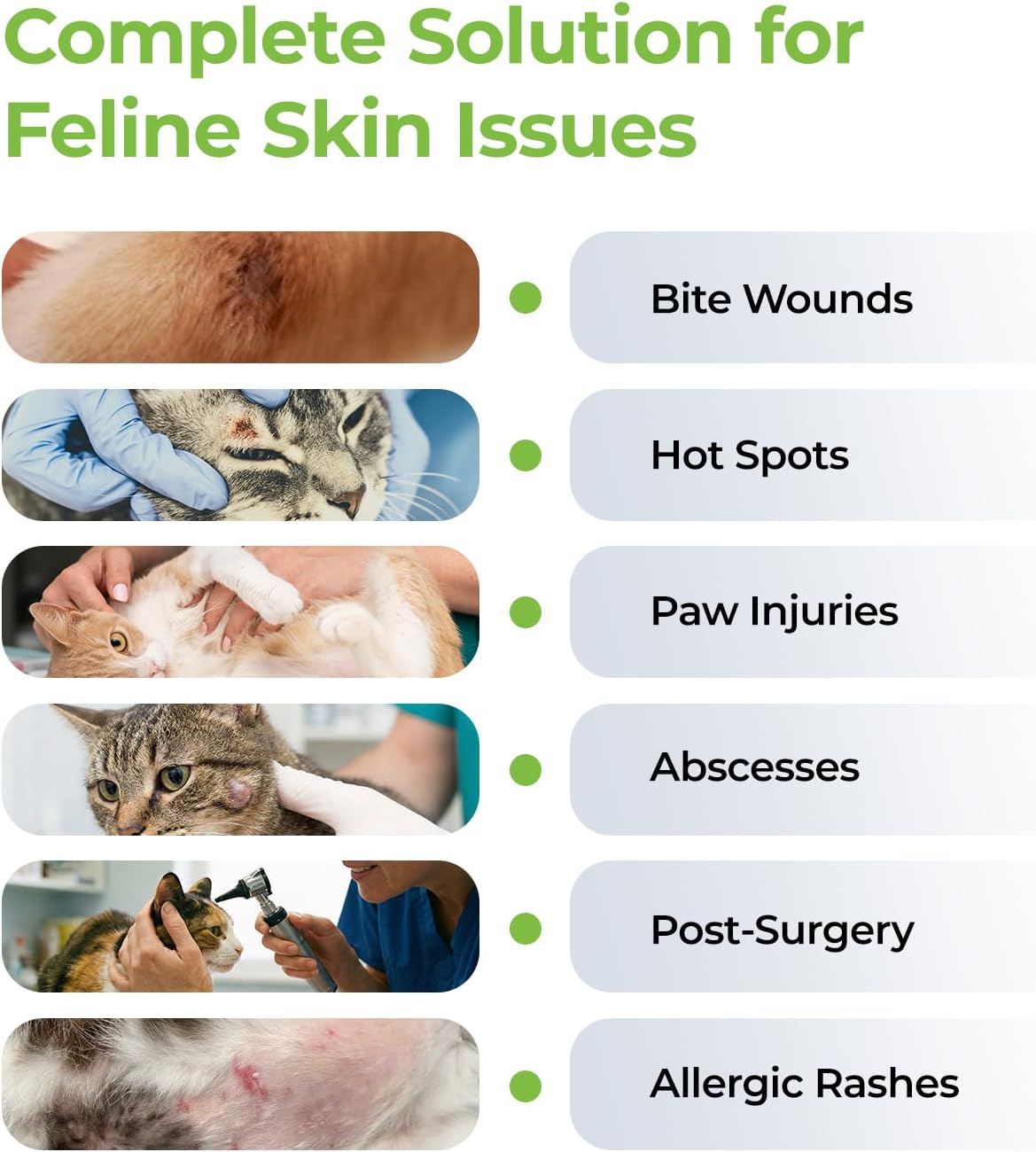 Gentle sting-free cat wound healing medicine application view