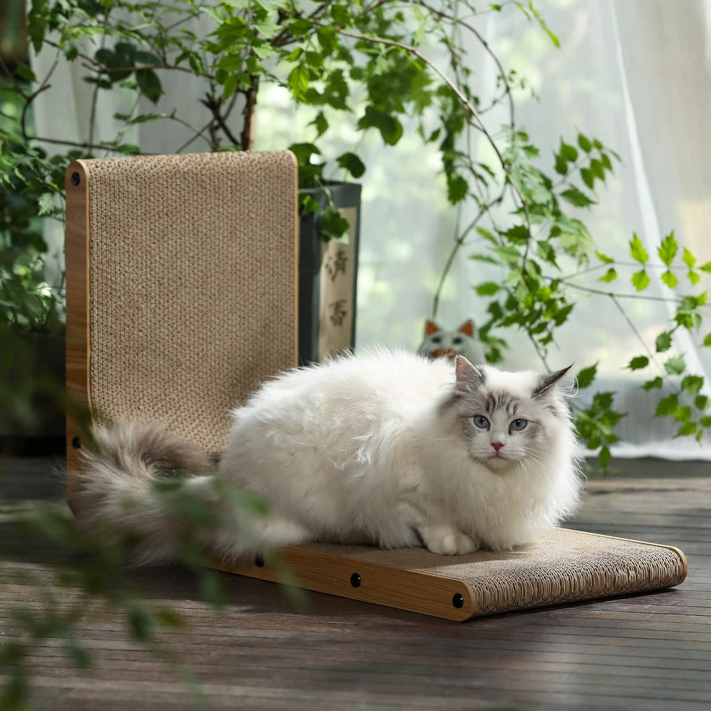 Cat resting on a reversible cardboard scratch board