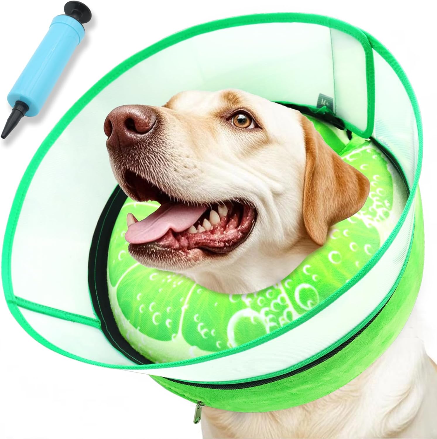Side view of medium large dog wearing protective inflatable collar
