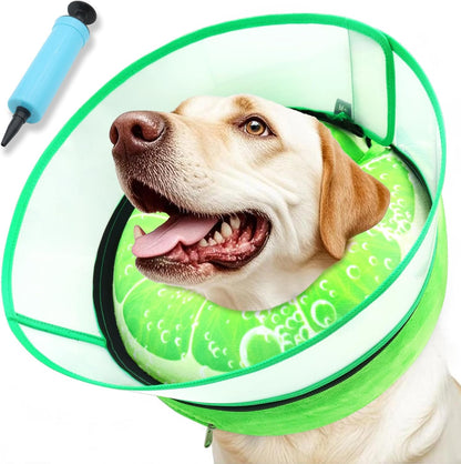 Side view of medium large dog wearing protective inflatable collar