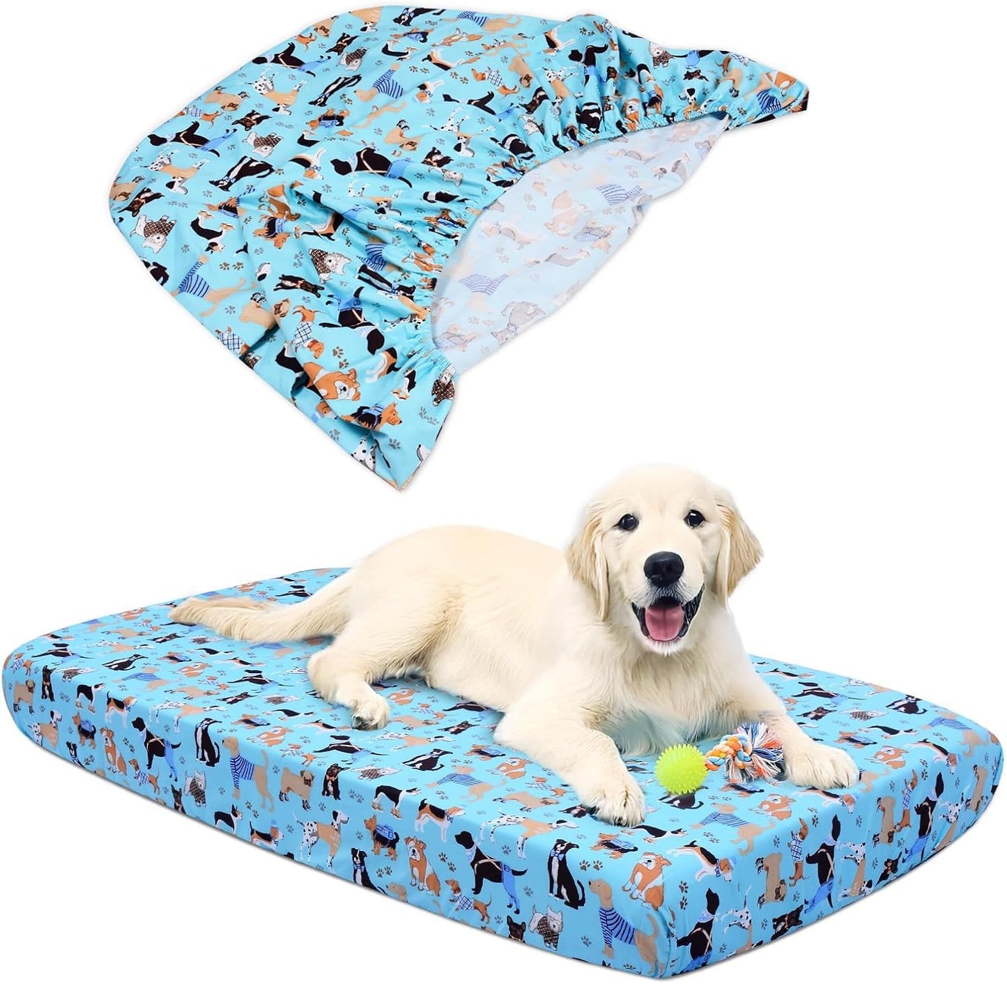 Hoopttay replacement dog bed cover front view blue cartoon pattern