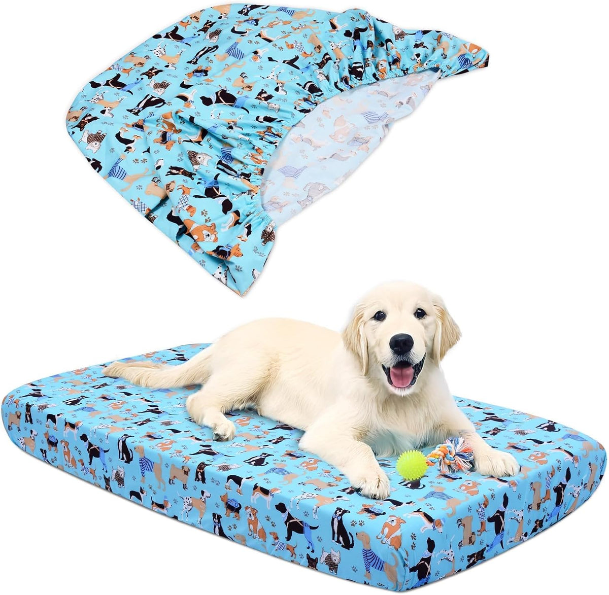 Hoopttay replacement dog bed cover front view blue cartoon pattern