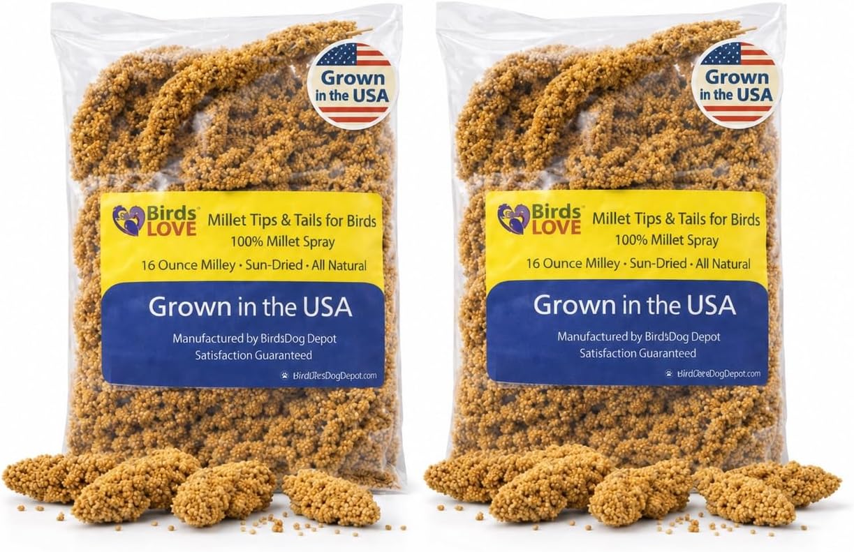 Birds LOVE(R) Economy Spray Millet for Birds, 7 oz, GMO-Free Natural Millet Spray Treat, Stem-Reduced Edible Tops, Grown in USA, for Parakeets, Cockatiels, Lovebirds, Finches, Canaries & Small Parrots - Image 12