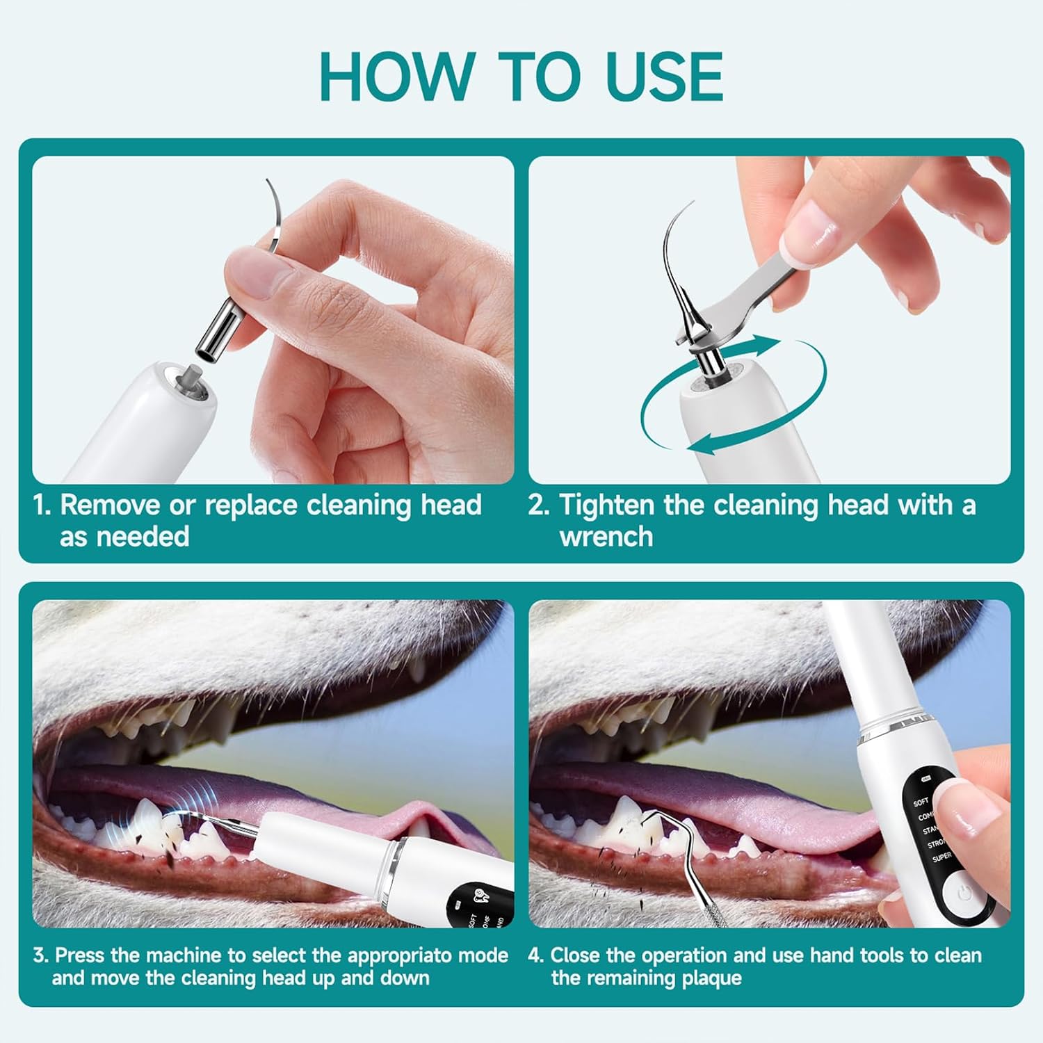 Top view of Qvkhpcl pet teeth cleaning kit accessories