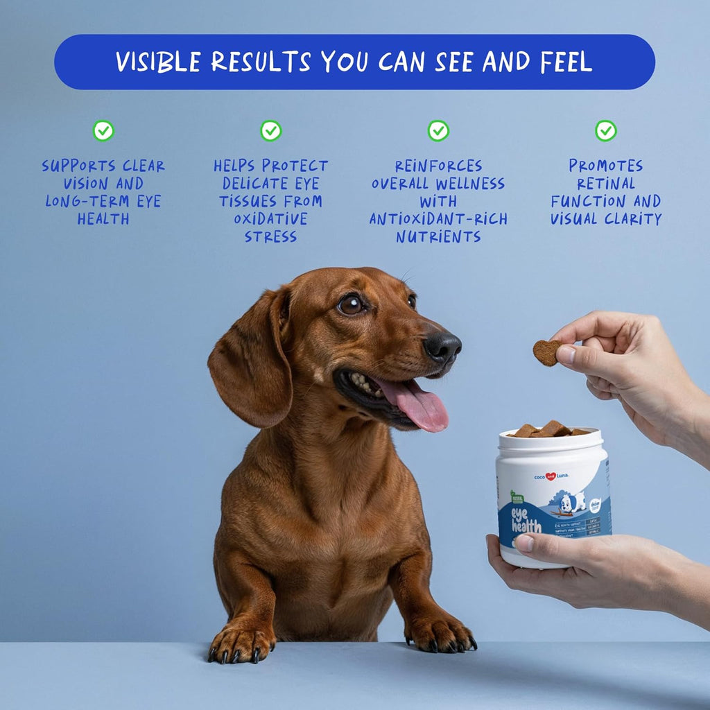 Coco and Luna dog eye vitamins packaging showing ingredients list